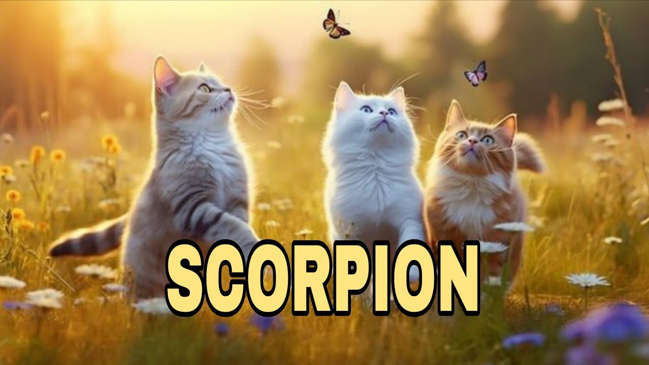 SCORPION😮 ATTENTION ! QUELQUE CHOSE D’EXCEPTIONNEL SE MANIFESTE POUR VOUS… 💖 TAROT