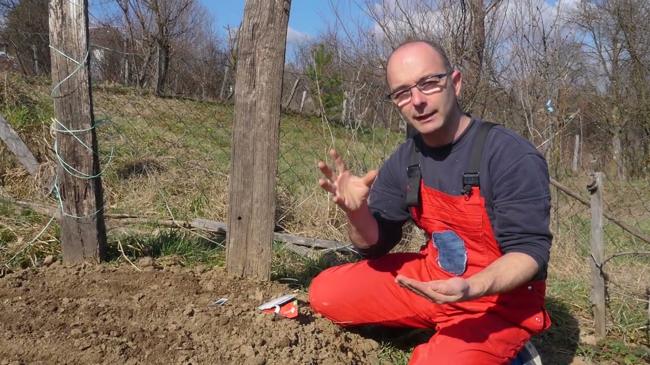 Tajna mog vrta ep. 7 Čaj i seme rotkvice, batat, baštenski katalog