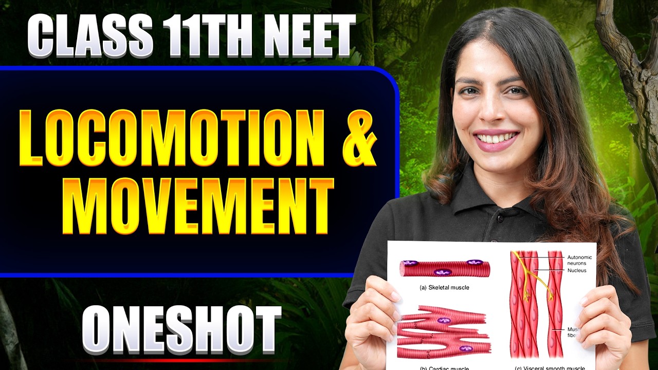 Locomotion & Movement in ONE SHOT | All Concept & PYQ | Basic to Advance | Class 11 NEET