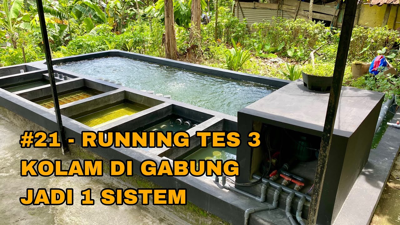 EPISODE #21 - RUNNING TEST 3 KOLAM JADI 1 SISTEM - KOLAM BIASA JADI KOLAM FILTER SISTEMATIS