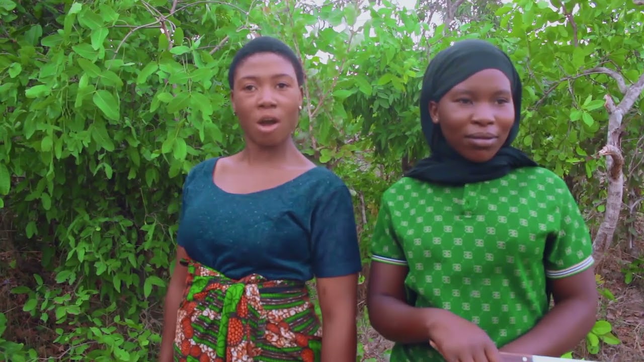 BABU KONA STUDIO 2026