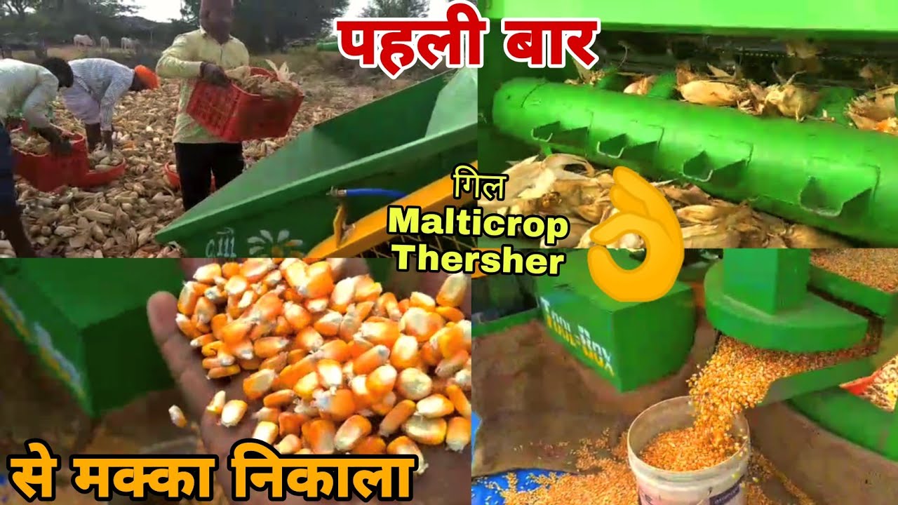 Gill THERSHER || पहली बार ,👉🌽Multicrop Thresher se Makka Nikaalte hue || मक्के की गहराई करते हुए