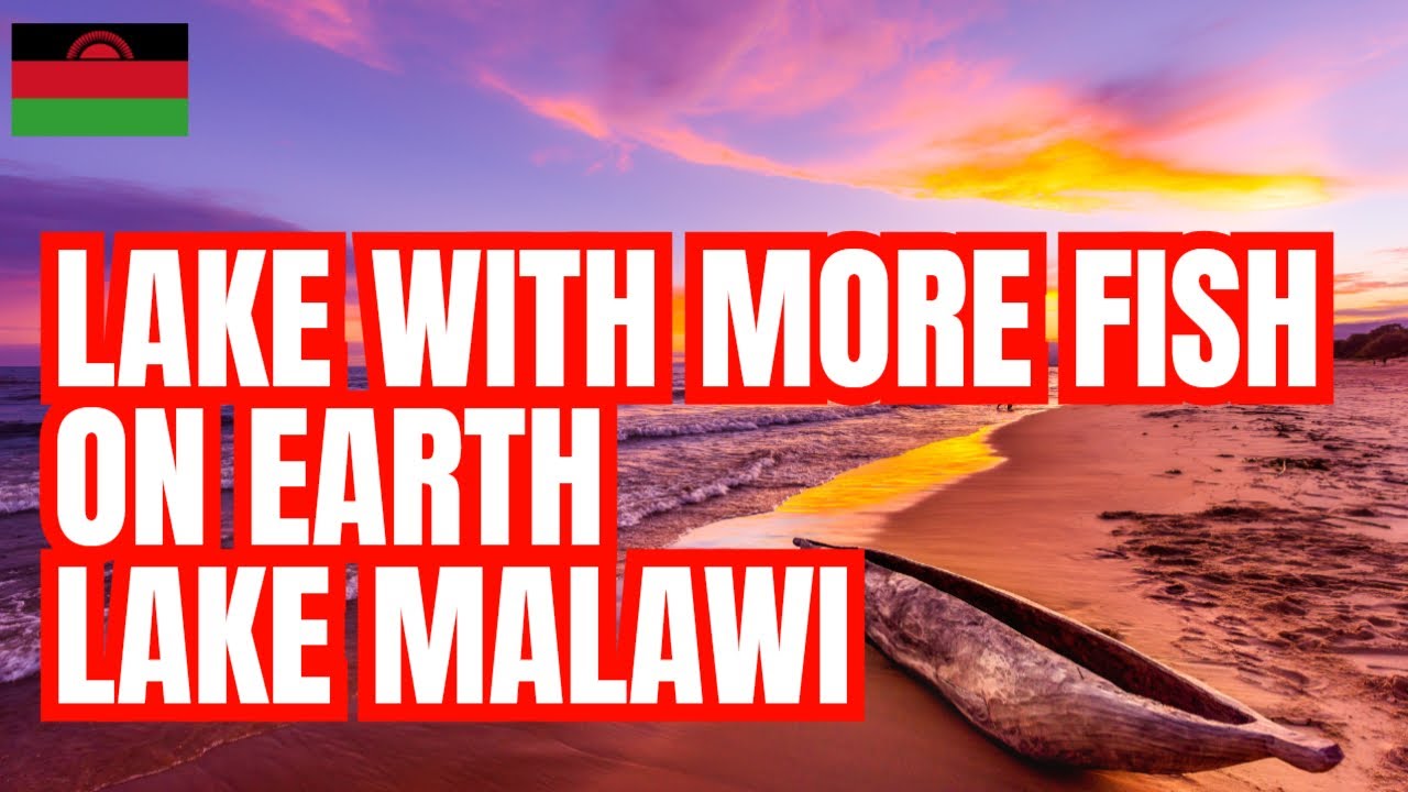 Lake Malawi: Africa’s Hidden Gem and Natural Wonder You Didn’t Know About