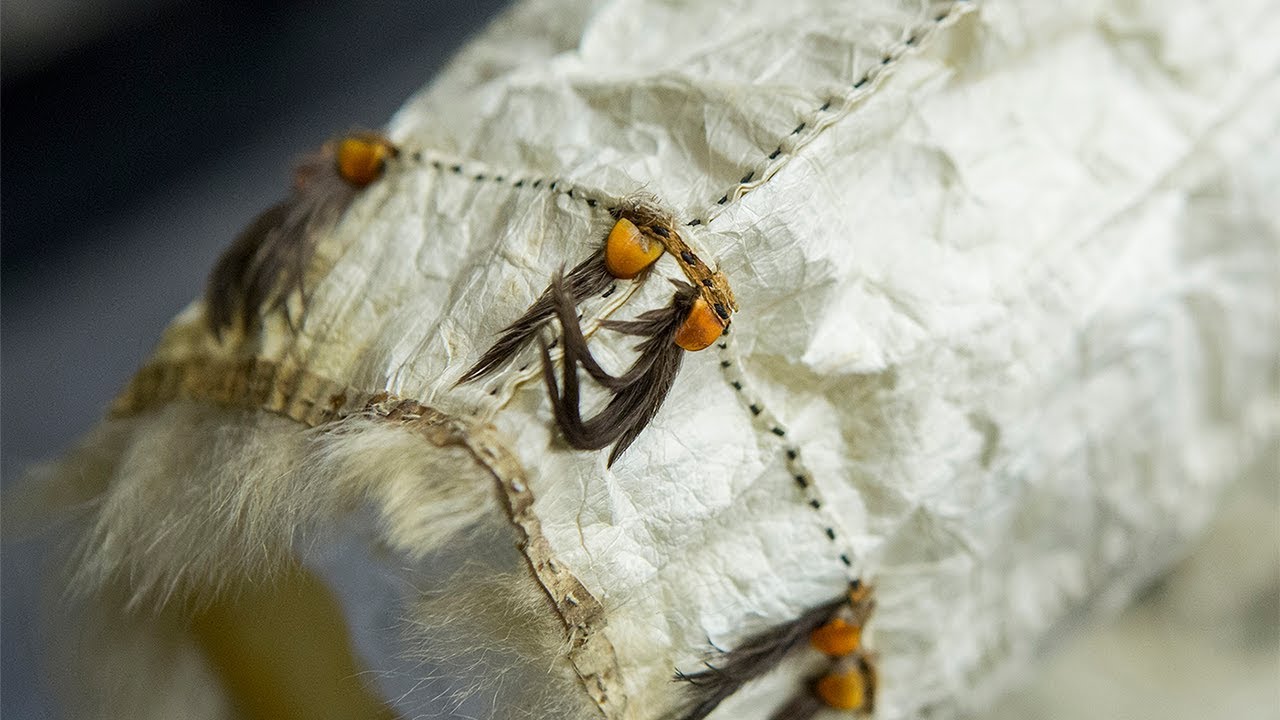 Sewing Gut (1 of 13): Introduction