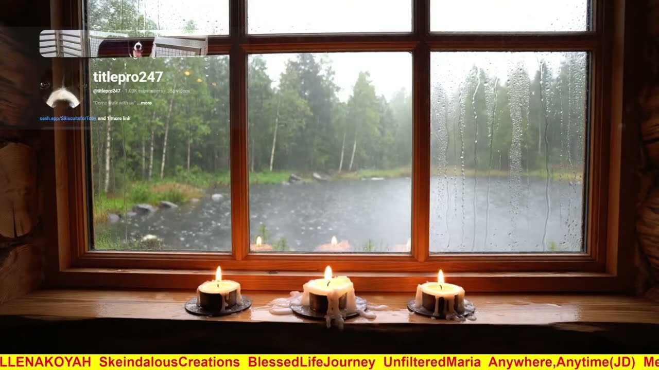 Discover the Magic of ASMR Rain for a Peaceful Night