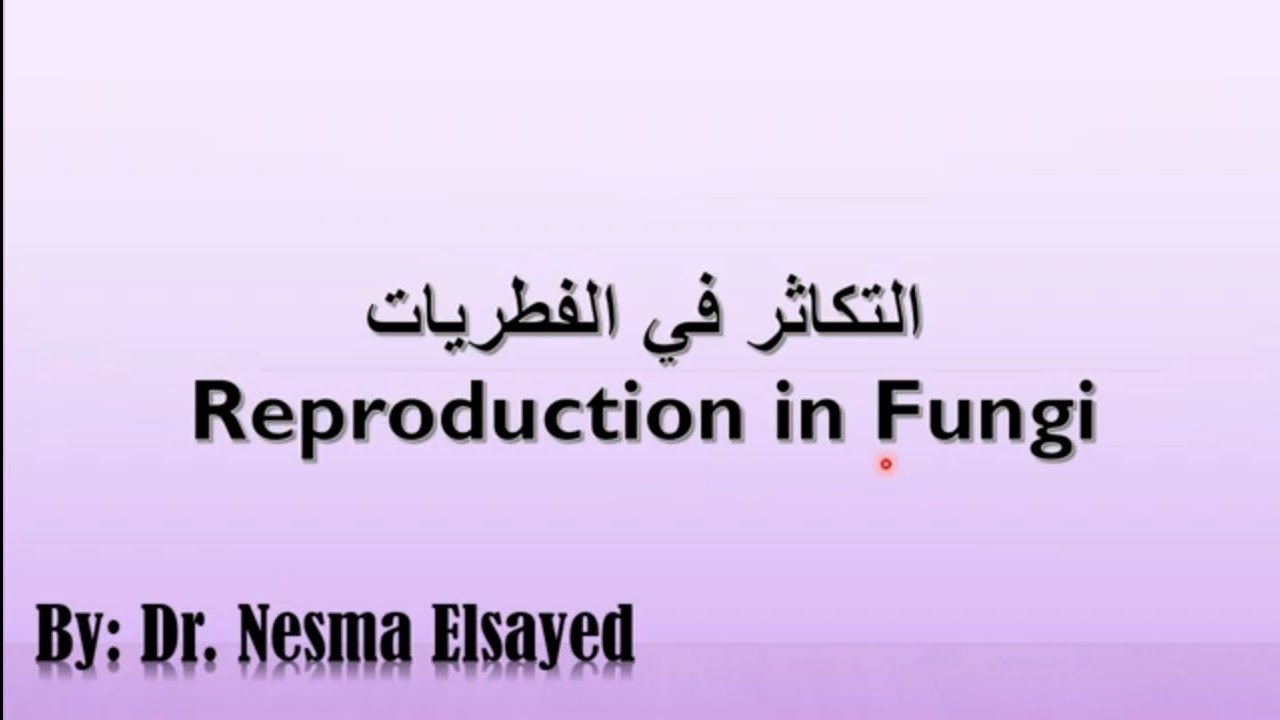 التكاثر في الفطريات (الجزء الثاني): التكاثر الجنسي Sexual reproduction in fungi