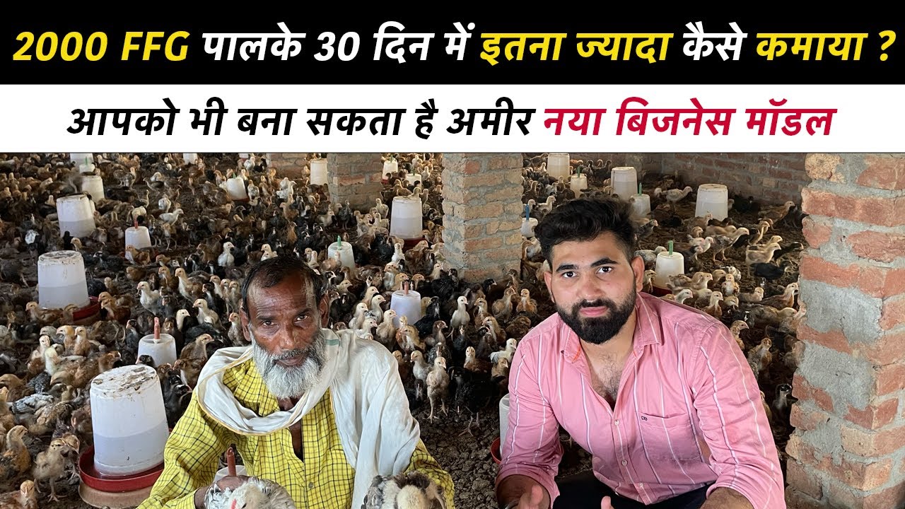 कम खर्च का सफल FFG मुर्गी पालन मॉडल | FFG Poultry Farm | FFG chicken  Farming In India