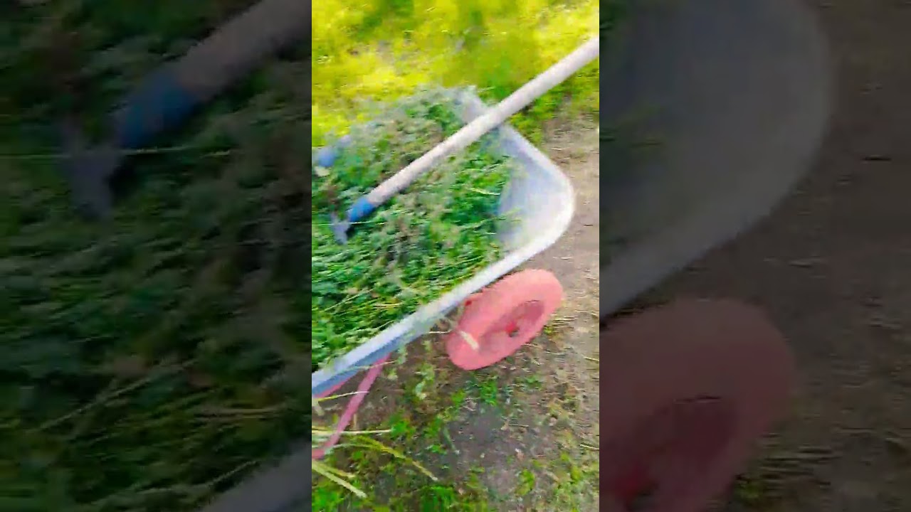 уборка сена на компост