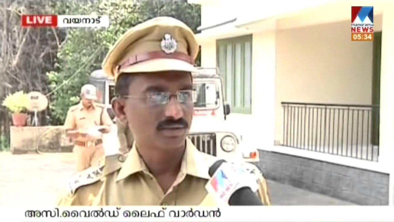 Stoning Wild Elephant and Kid in Wayanad | Youth Surrender | Manorama Online