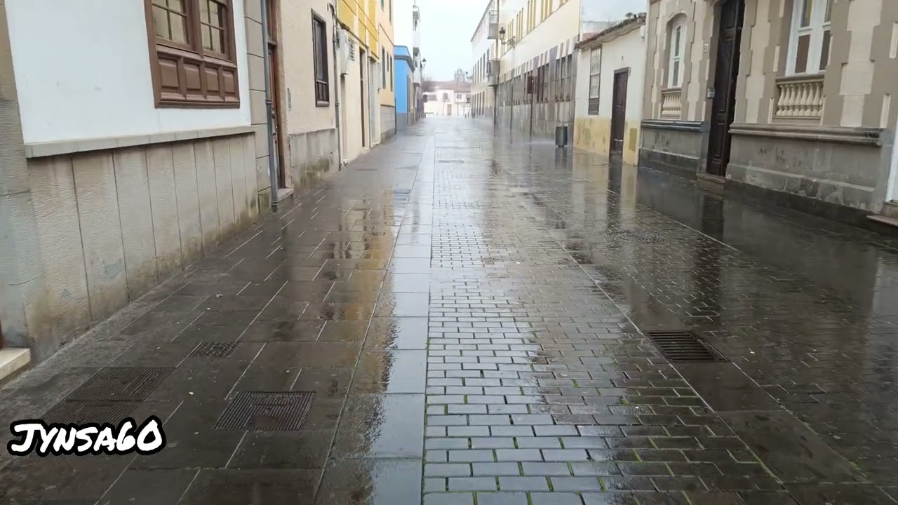 (Mis 