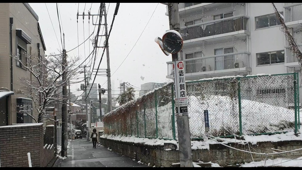 Snow Walk Omotesando Tokyo – Real Ambient Sounds