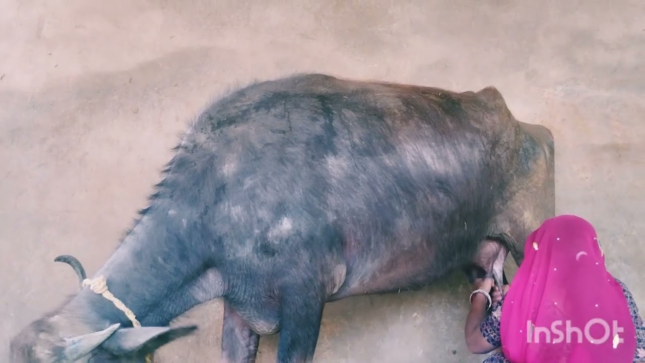 राधे राधे❤️