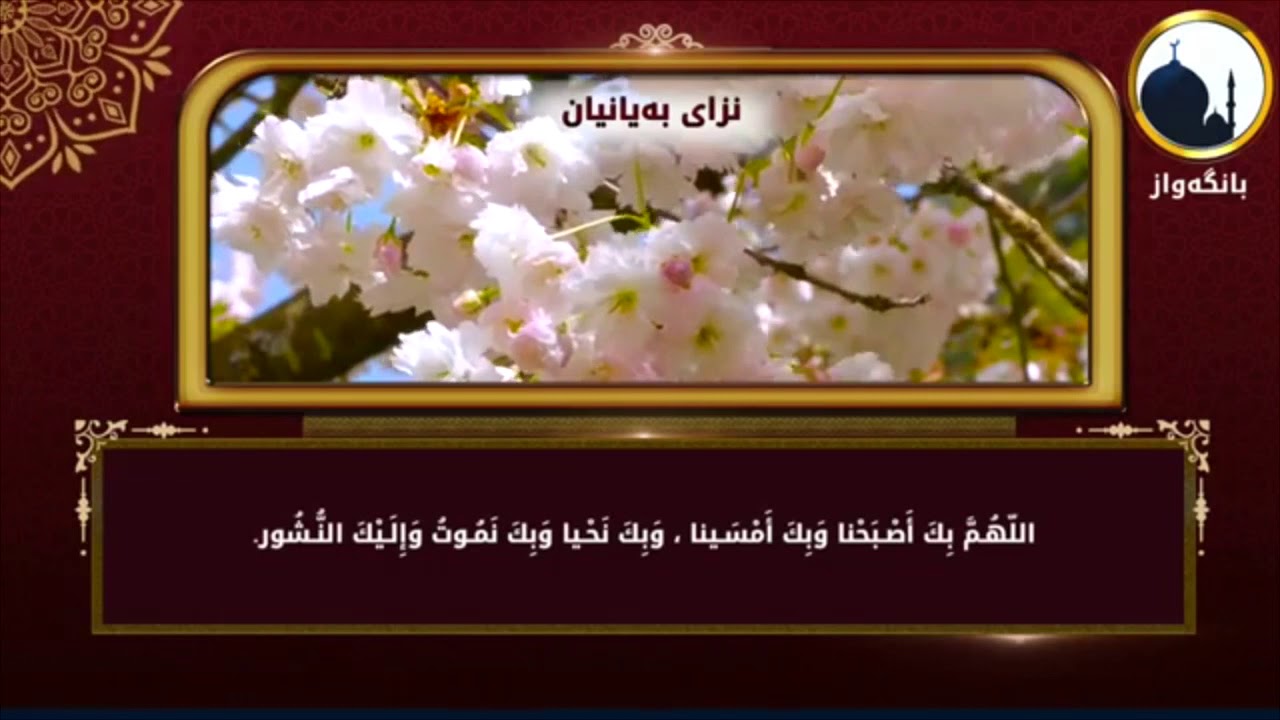 نزاى به يانيان