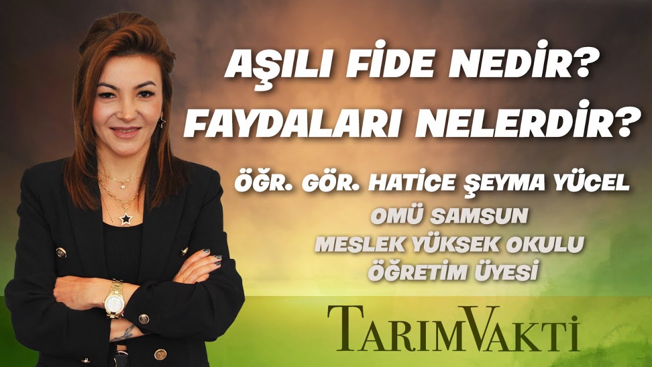 Aşılı Fide Nedir? Faydaları Nelerdir?  |  Tarım Vakti