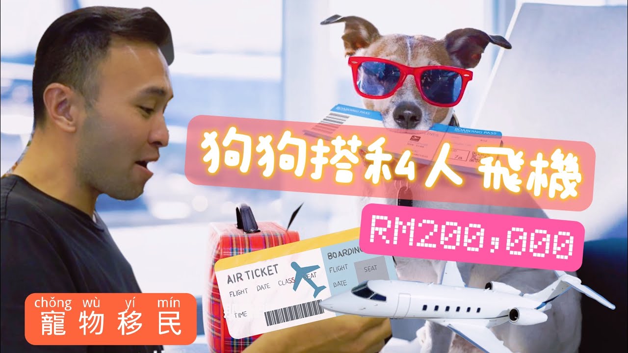 【寵物移民】愛犬移民方法及過程｜狗狗移民費用｜寵物移民要點做｜馬來西亞｜廣東話 中文字幕