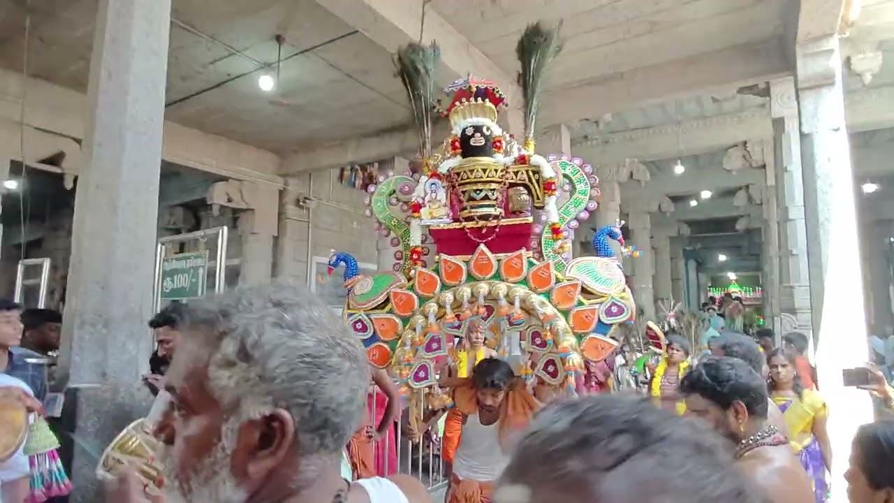 மாசி கிருத்திகை திருப்போரூர் முருகனின் காவடி 🦚Masi kiruthigai Thiruporur murugan temple kavadi - ||