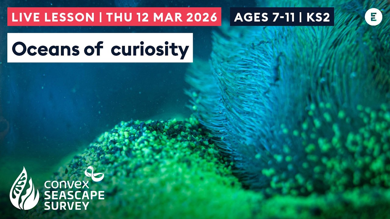 Oceans of curiosity