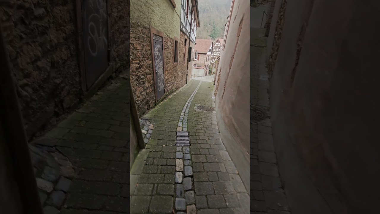 Windeck - The Castle Above the City 🏰 Weinheim