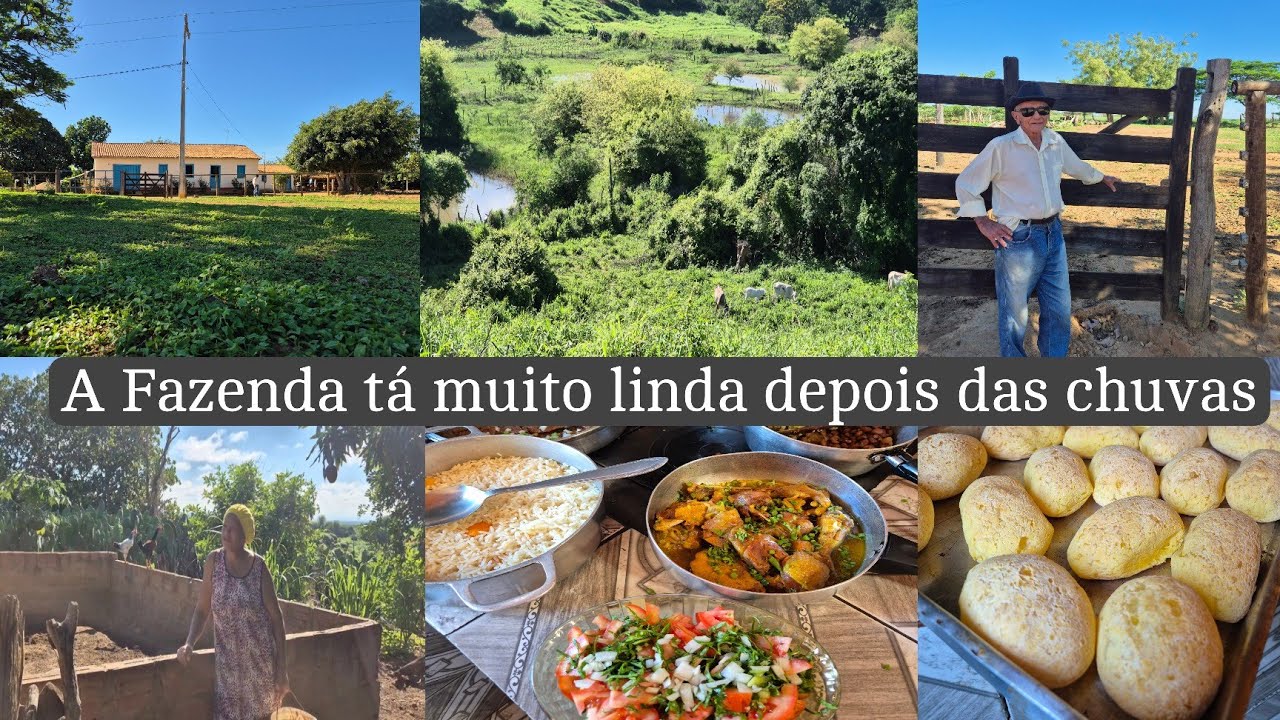 Fomos passar o dia com minha mãe | incrível como tudo se transformou 💚 almoço e café com eles