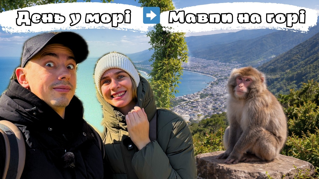 Гора, де живуть 1000 мавп без кліток! 😱 Японія