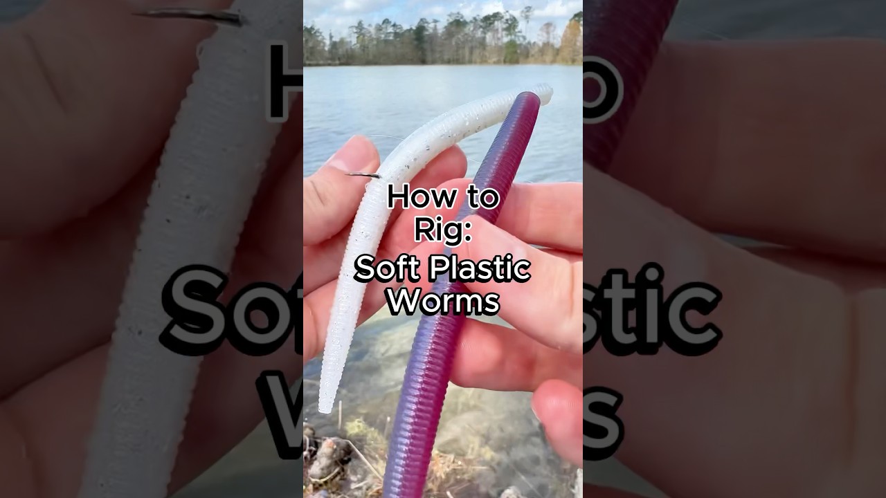 How to rig soft plastic worms three ways for fishing #bassfishing #fishing #fishingtips
