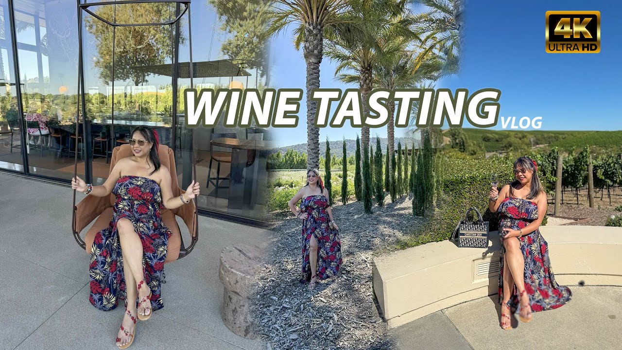 Wine tasting for my birthday/vlog40