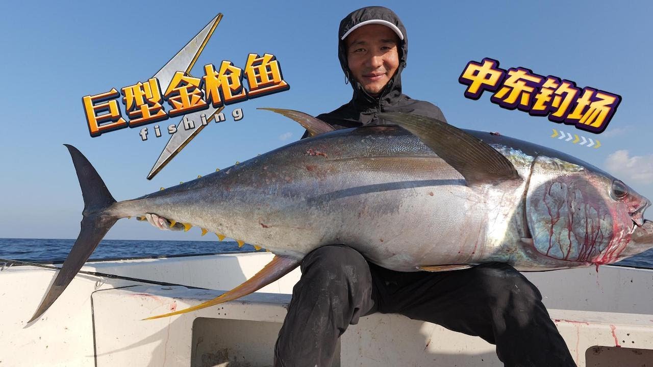 《Oman自驾》第22集：花10000元去钓金枪，渔获还可抵船费，这样的海钓你们喜欢吗  #海钓 #中东地区 #金枪鱼 #刺身 #阿曼海钓