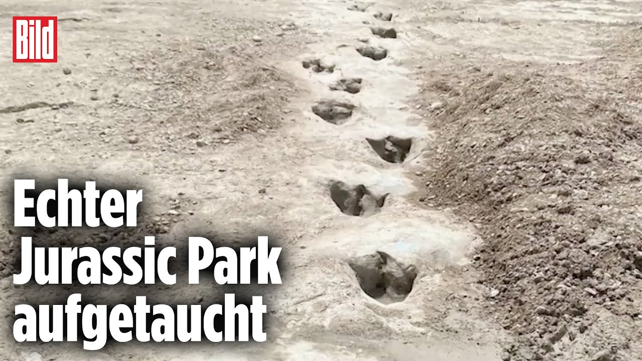 Extreme D&uuml;rre legt in Texas Dinosaurier-Fu&szlig;abdr&uuml;cke frei