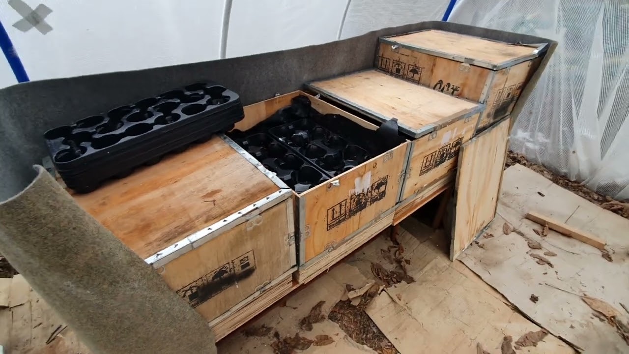 rozsadnik w szklarni na patencie cz.2