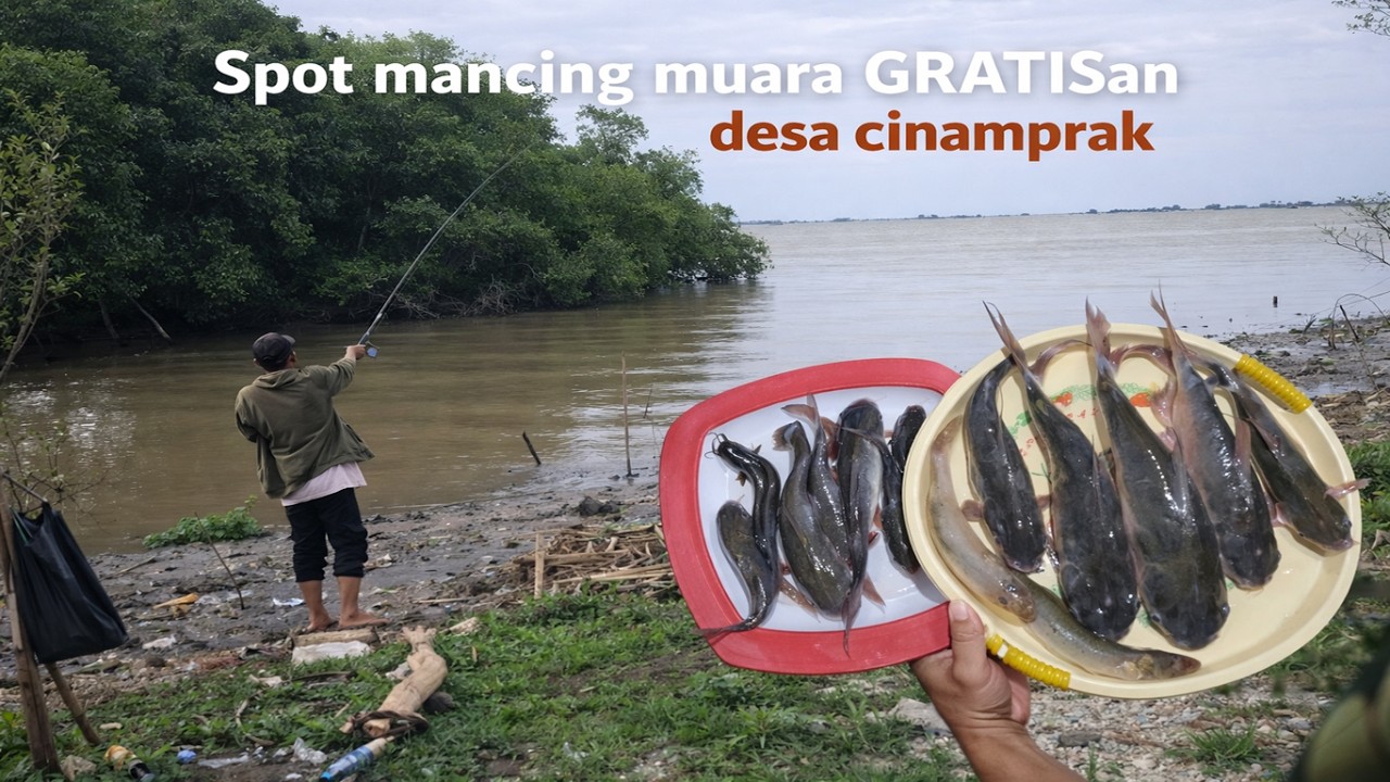 SPOT MANCING MUARA GRATIS Desa Cinamprak Mauk‼️ Strike Terus 3 Jam – Air Surut Tetap Dapat Banyak