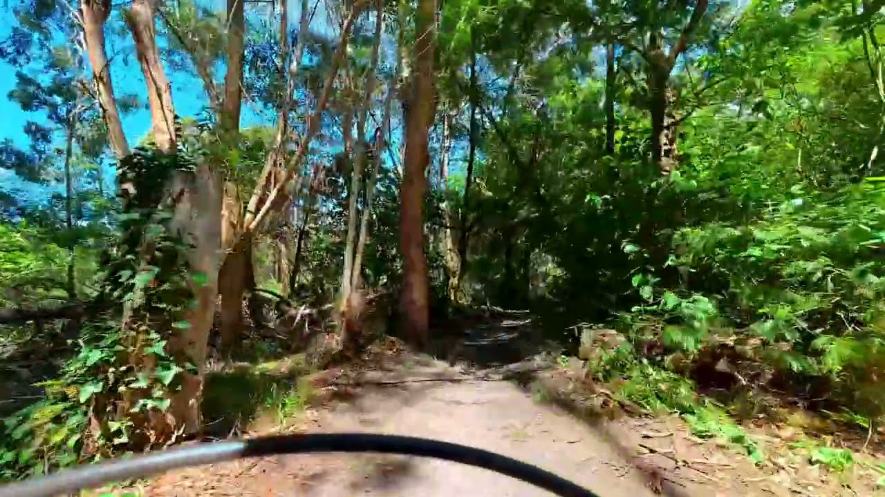 MTB Hermanus single-track