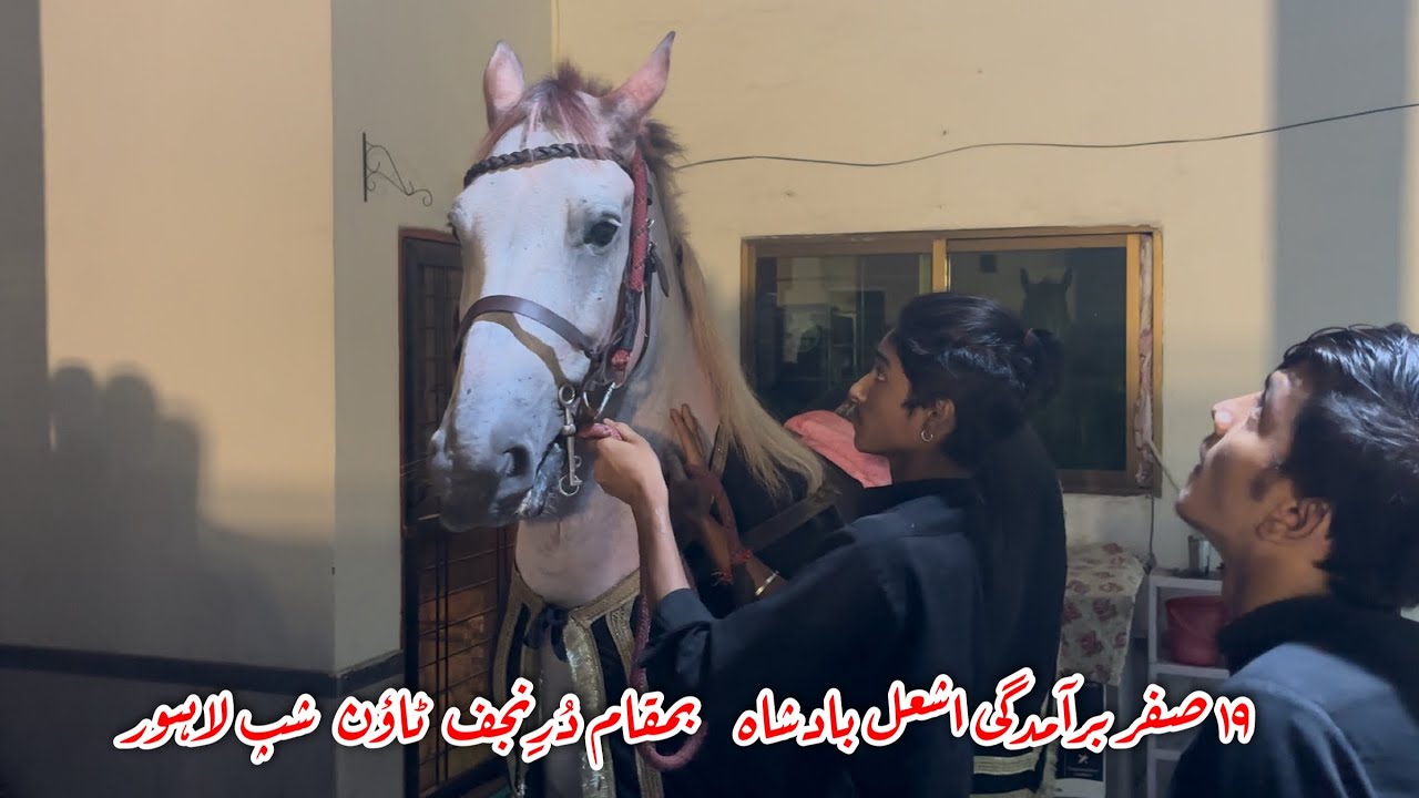 19 safar bramdagi ashal badshah town ship Lahore 
