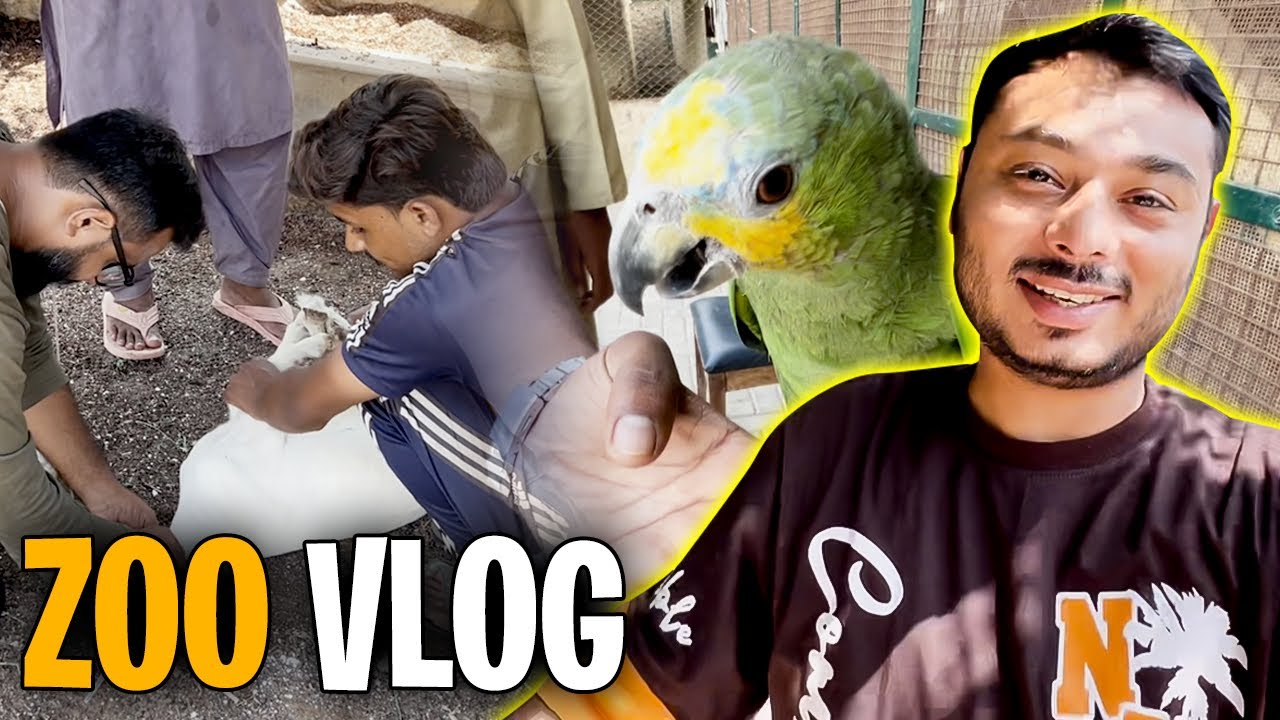 Bakri KO drip lagani parhi 🥲 bandariya ko bhi bandar maarne lage ? Zoo vlog