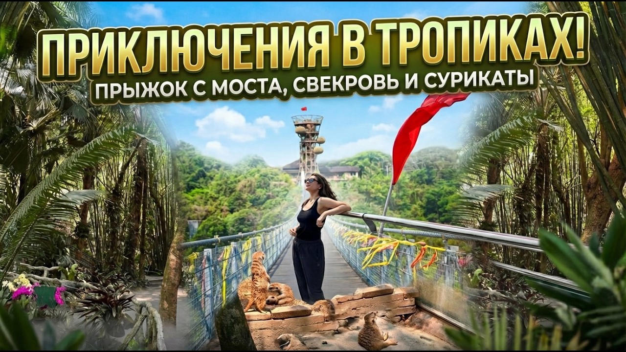 🇨🇳 КИТАЙСКИЙ ВЛОГ- вип тур по джунглям от свекрови