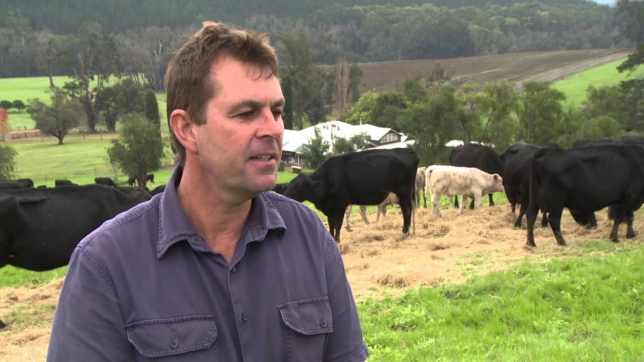 MLA's More Beef from Pastures: A producer experience from Western Australia