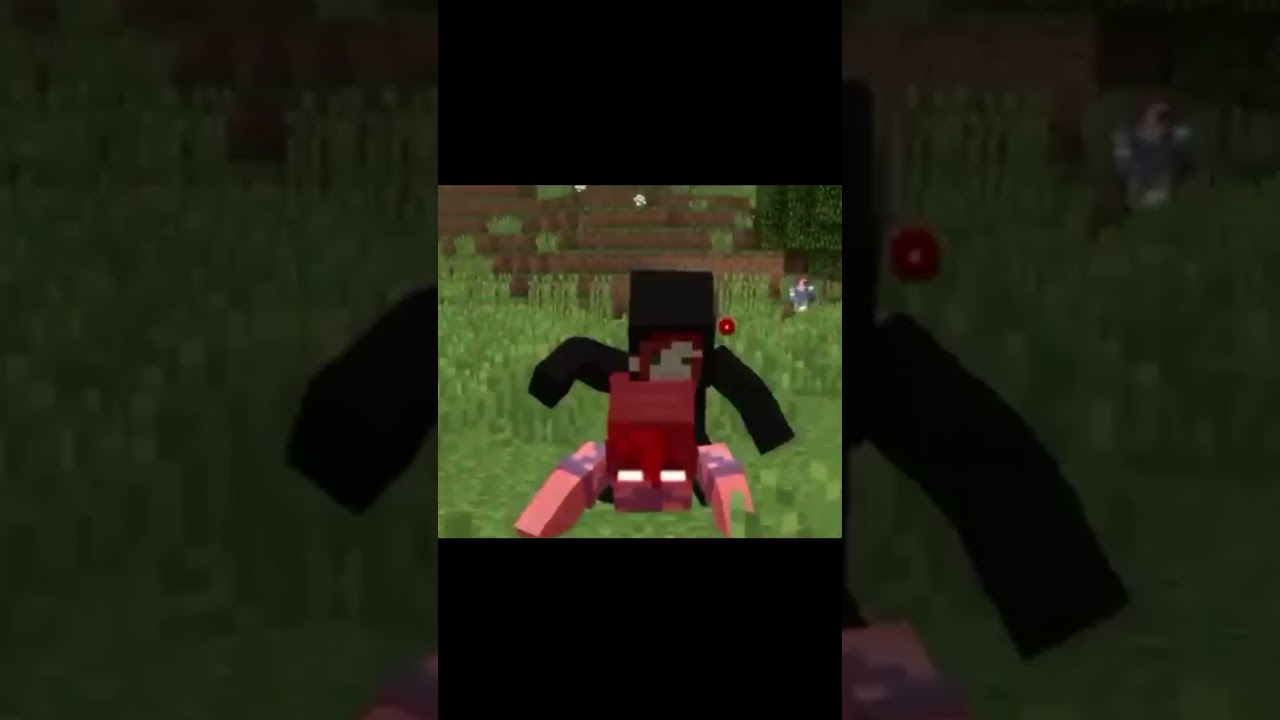 S&ouml;ylenecek S&ouml;z yok... @BoraLo #boralo #chris1545 #1545 #minebay #bobby1545 #minecraft