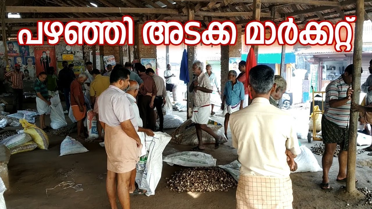 Areca nut capital of Kerala. Kerala Local Vlog #110