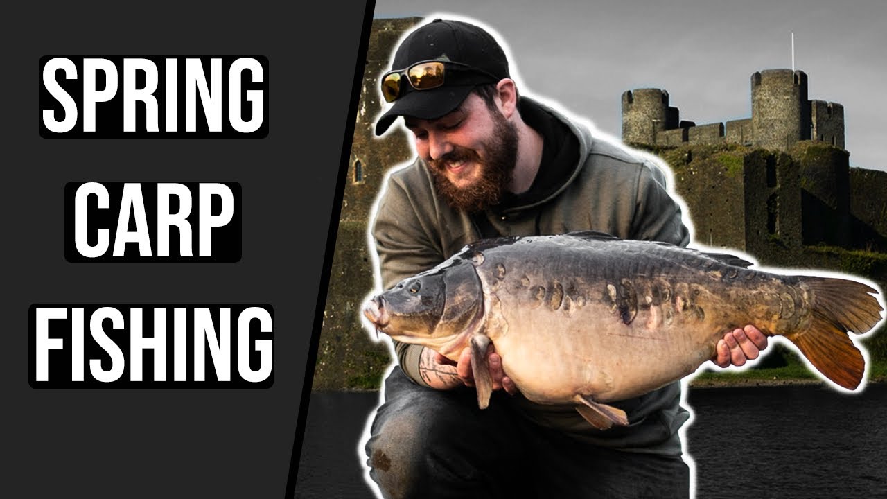 Spring Carp Fishing - Caerphilly Castle