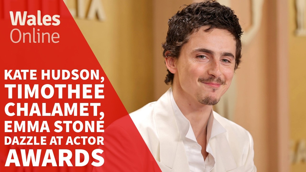 Kate Hudson  Timothee Chalamet  Emma Stone dazzle at Actor Awards ✨