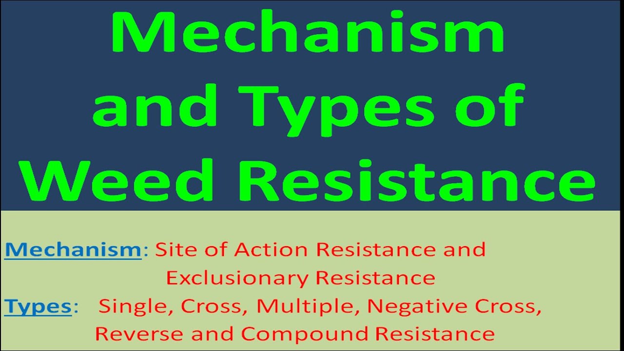 Mechanism and Types of Weed Resistance
