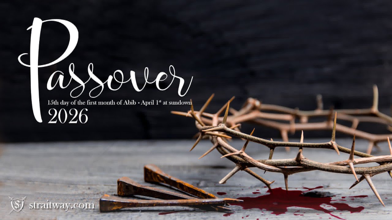 The Root of Healing : Shabbat Service 4/4/2026