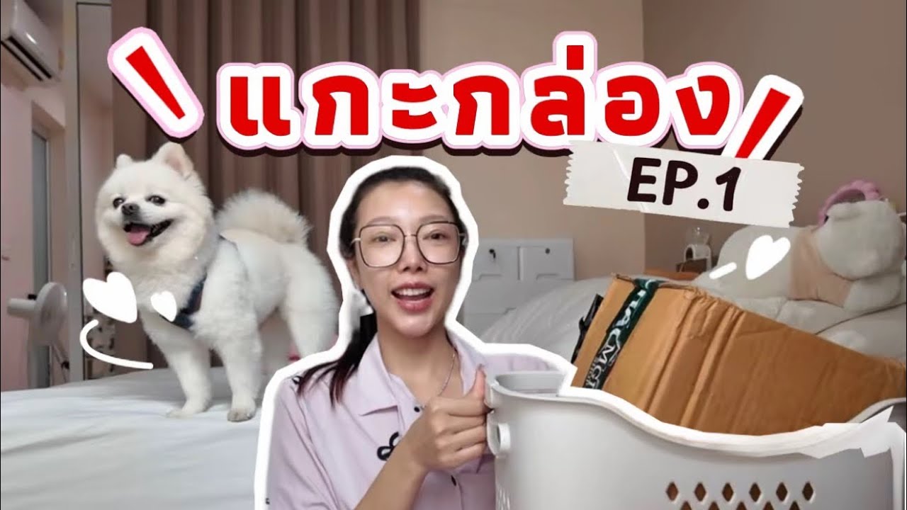 แกะกล่องของใหม่ มิลิน&เวกัส  Ep.1 | Mimimilyn