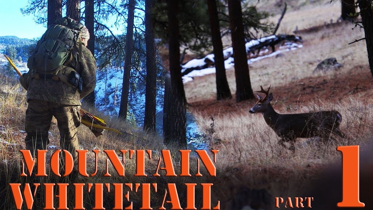 Ground Hunting Whitetail Deer with Primitive Recurve Bow, Spot and stalk