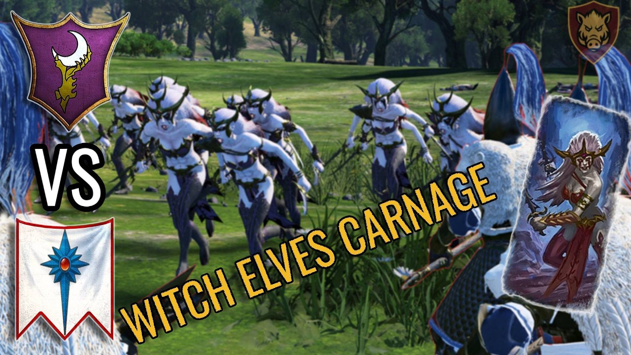 Witch Elves Carnage / Dark Elves vs High Elves / Total War: Warhammer 3