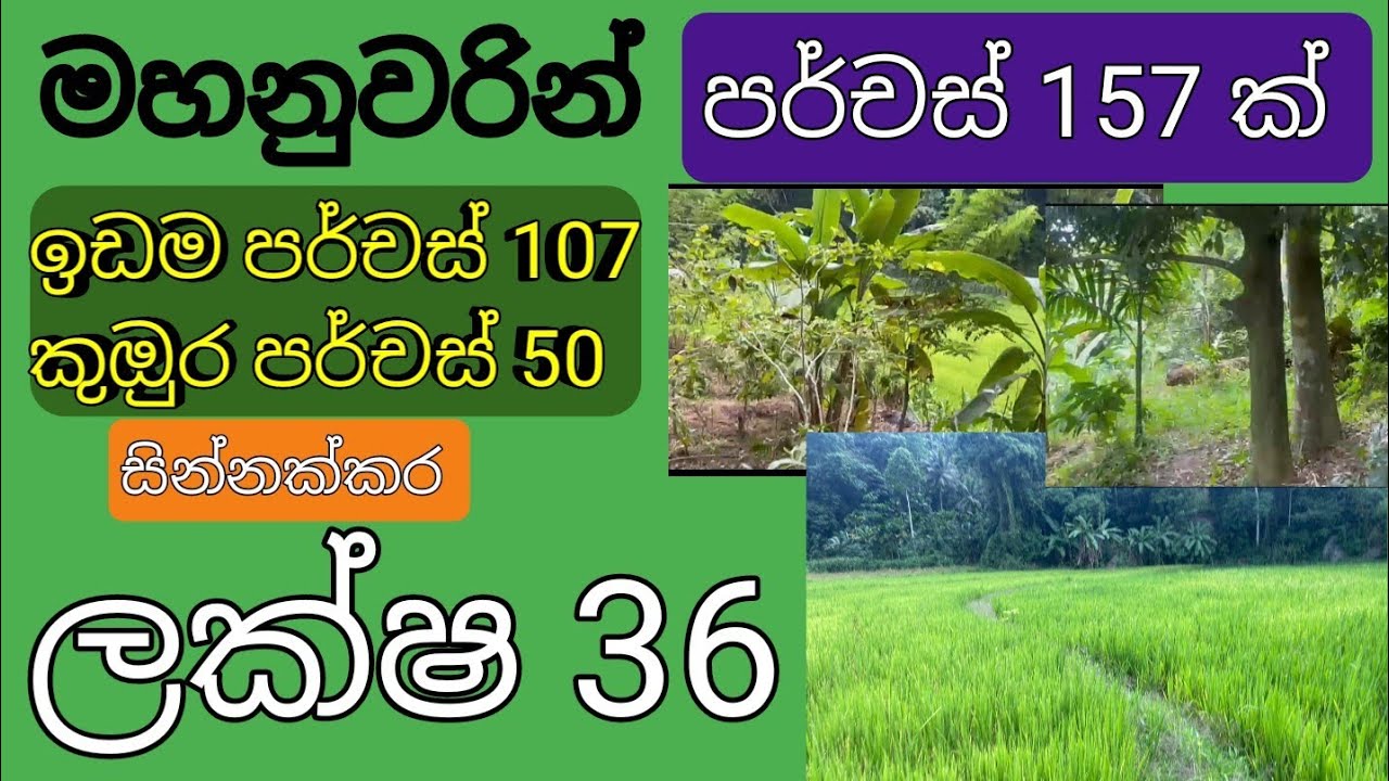 NO,,165 # ලක්ෂ 36 කට,,පර්චස් 157 ක්  ,මහනුවරින් ආදායමක් ගන්න ,සුපිරි දේපලක්
