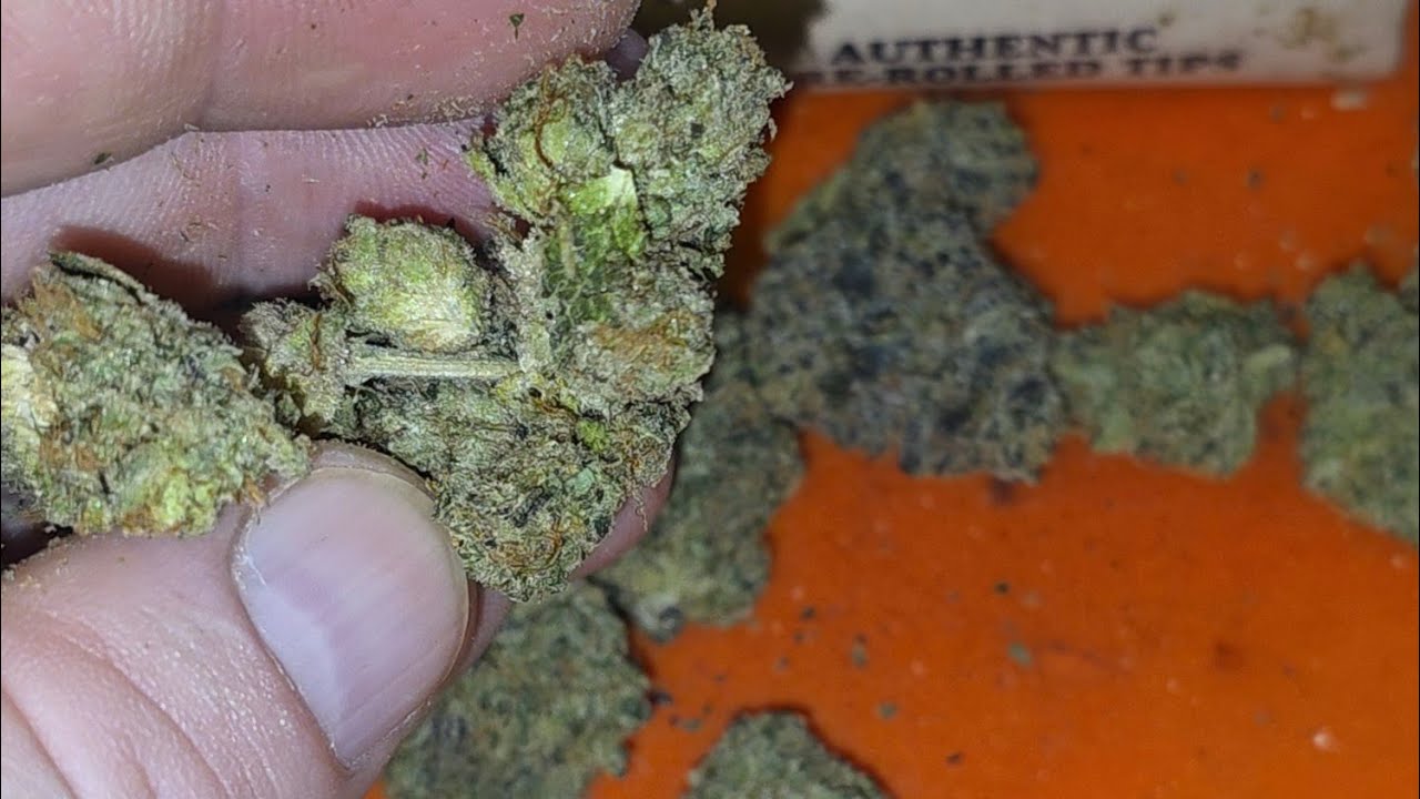 Stoned Island ZANG BANGER 