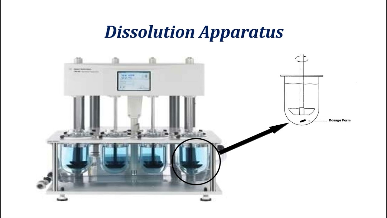 In Vitro: Dissolution and Drug Release Testing