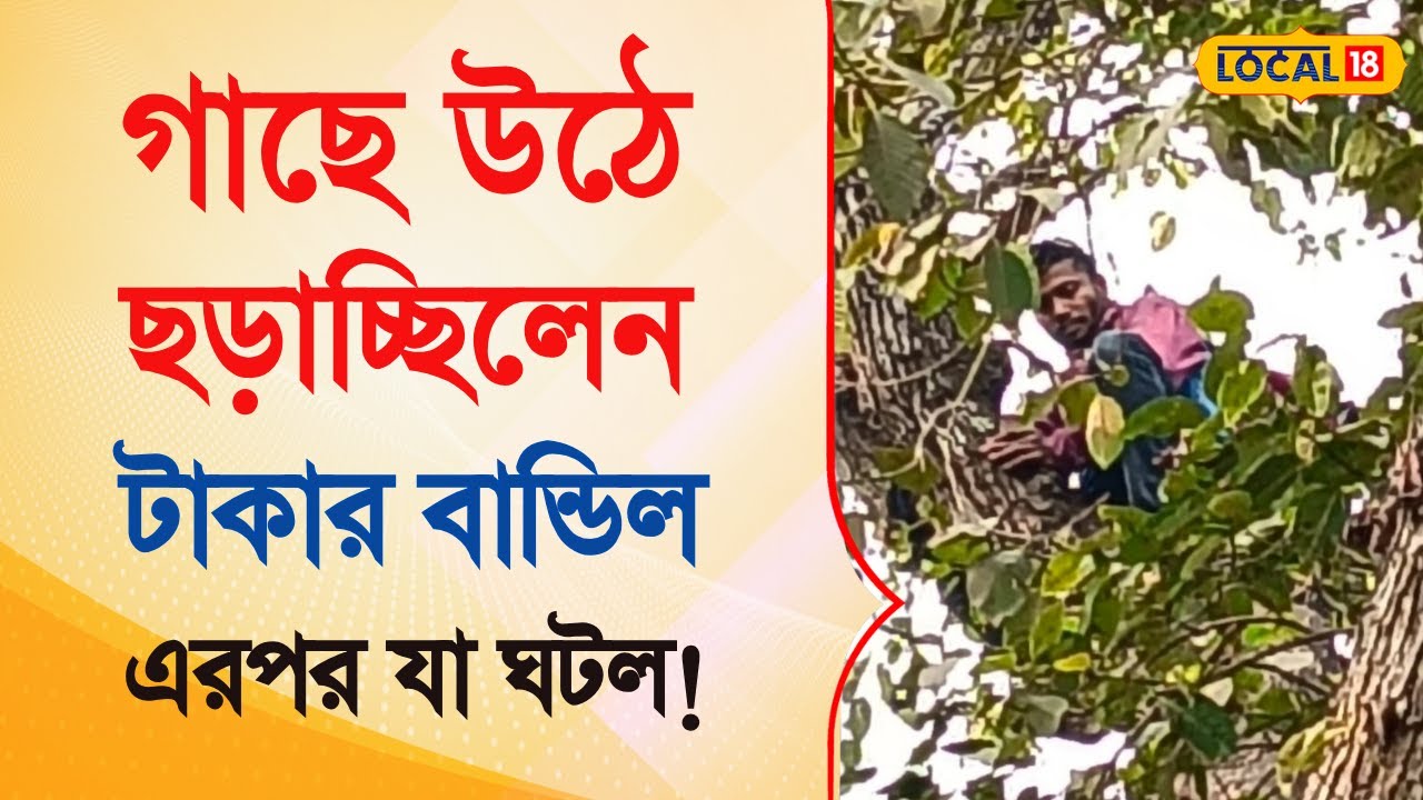 Bangla News | গাছে উঠে ছড়াচ্ছিলেন টাকার বান্ডিল, শেষমেষ যে কাণ্ড ঘটল! | #local18
