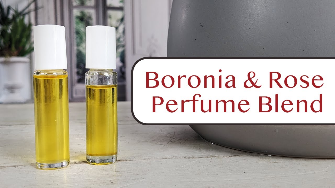 'Fragrance of Spring' – a recipe for a Boronia & Rose perfume blend!