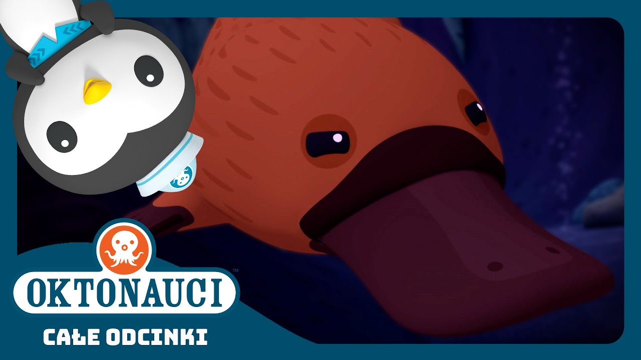 Oktonauci - 🦆 Dziobak australijski 🪸 | Cały odcinek 10 | Seria 3
